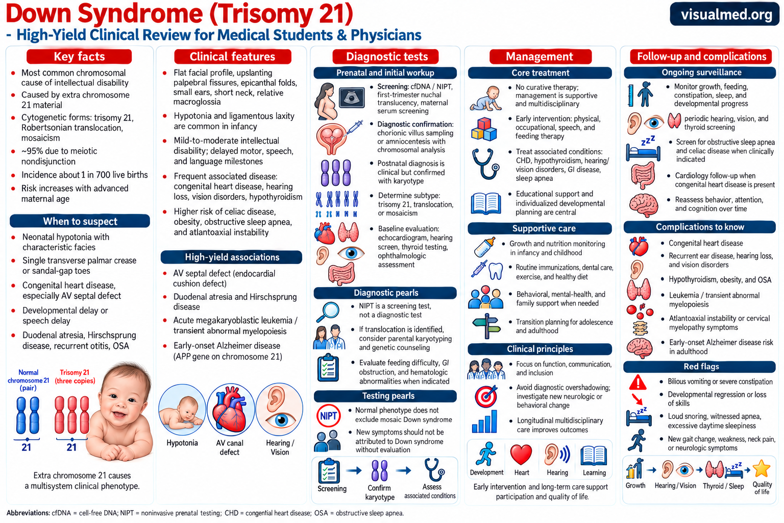 down syndrome trisomy 21 infographic clinical cheat sheet